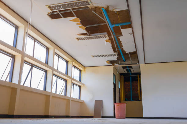 Best Flood damage cleanup  in Centre, AL