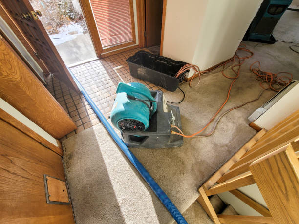 Best Commercial water damage restoration  in Centre, AL