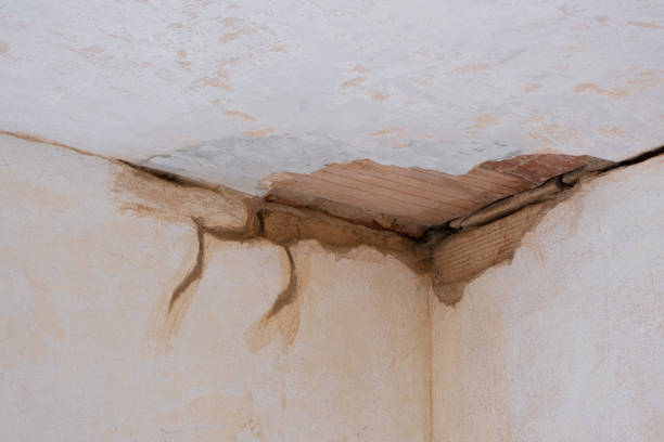 Best Sewage cleanup and water damage restoration  in Centre, AL