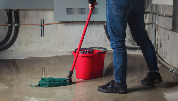 Best Water damage mitigation services  in Centre, AL