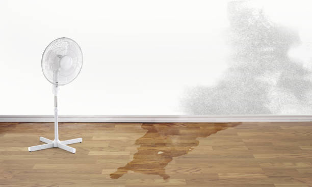 Best 24/7 water damage repair  in Centre, AL
