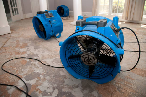 Best Basement water damage restoration  in Centre, AL