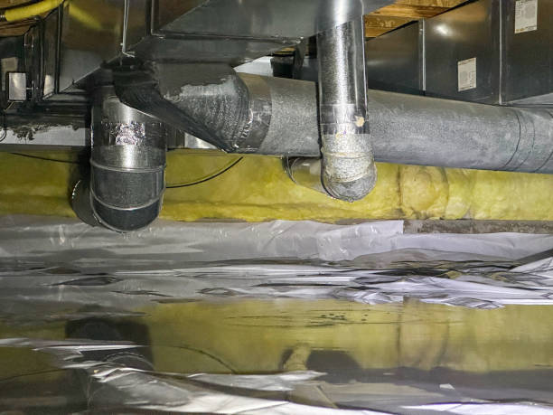 Best Water damage contractors near me  in Centre, AL