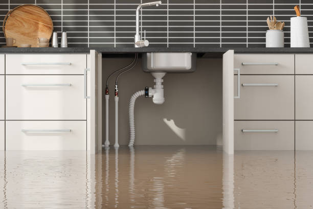 Best Fire Damage Restoration  in Centre, AL