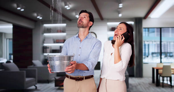 Best Ceiling water damage repair  in Centre, AL