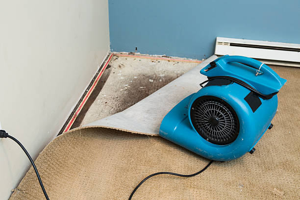 Best Water damage restoration near me  in Centre, AL