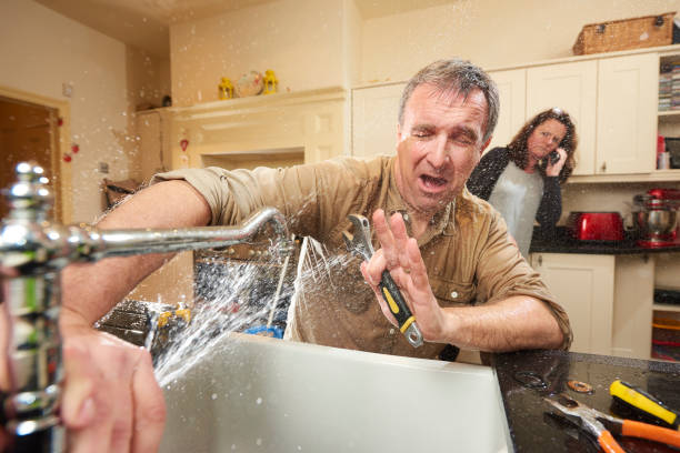 Best Mold removal after water damage  in Centre, AL